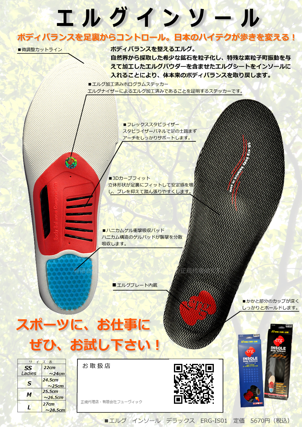 エルグインソール