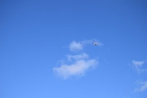 resize8751