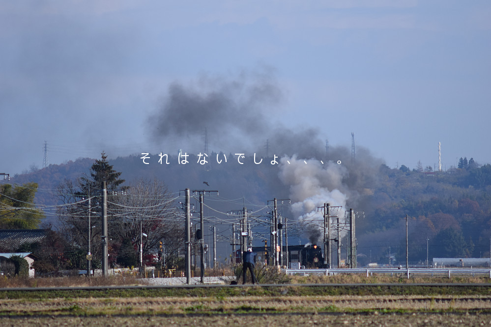 Mz@`镔i2014/11/30j
